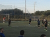 IMG_20141108_165732_792